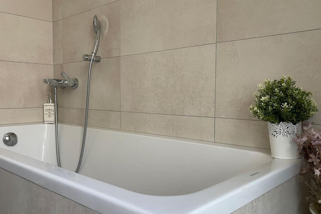 Antica Dimora Pt Apartment Coldrerio Екстериор снимка